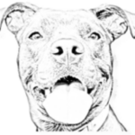 logo neka design